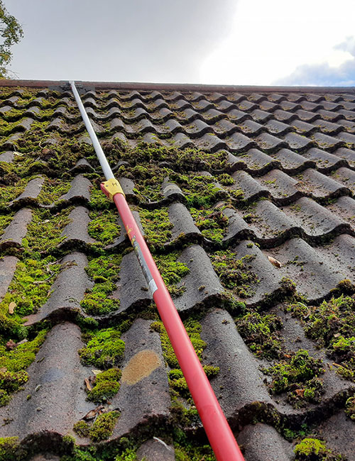 Nettoyage et démoussage de toiture dans les Yvelines : redonnez vie à votre toit avec Petit Couverture